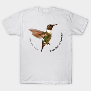 White-bellied woodstar hummingbird pin black text T-Shirt